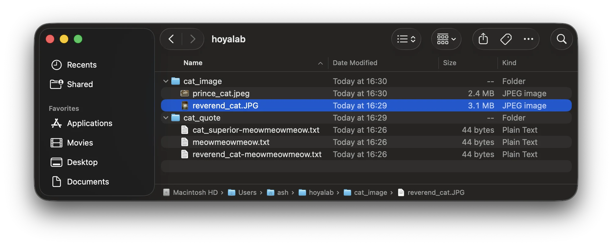 A Finder window showing a hoyalab folder with two subfolders: cat_image, holding prince_cat.jpeg and reverend_cat.JPG, and cat_quote, holding three text files including reverend_cat-meowmeowmeow.txt.